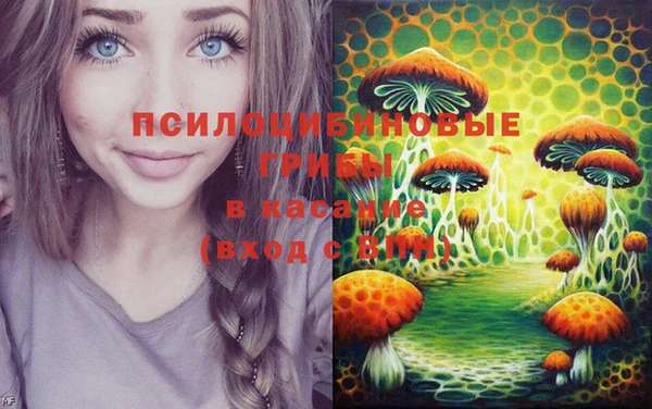 спиды Аркадак